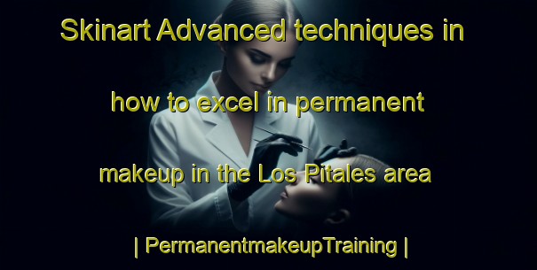 Skinart Advanced techniques in how to excel in permanent makeup in the Los Pitales area | PermanentmakeupTraining | PermanentmakeupClasses | SkinartTraining-Mexico